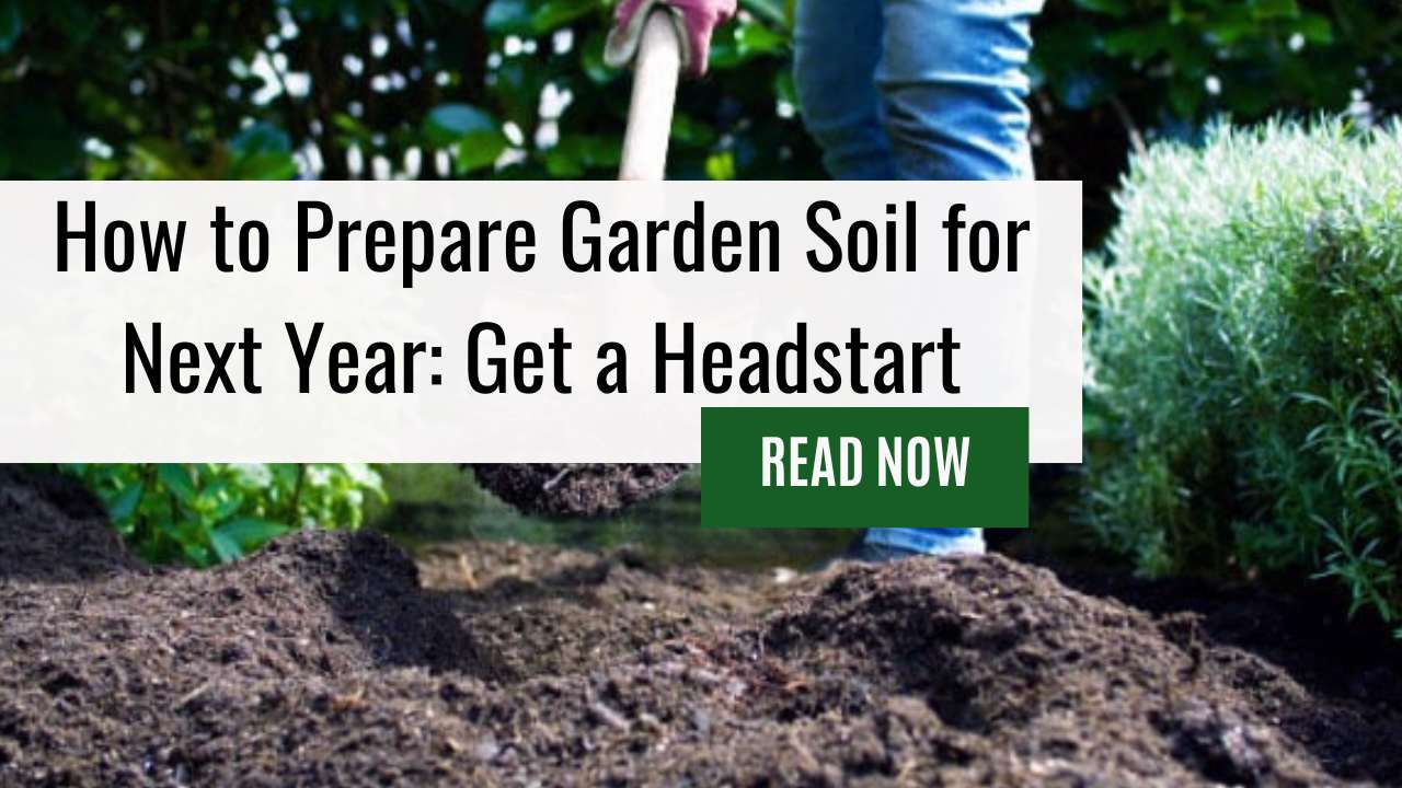 Start to Prepare Your Garden in the Fall for Spring Planting by Learning How To Prepare Garden Soil For Next Year Like an Expert!