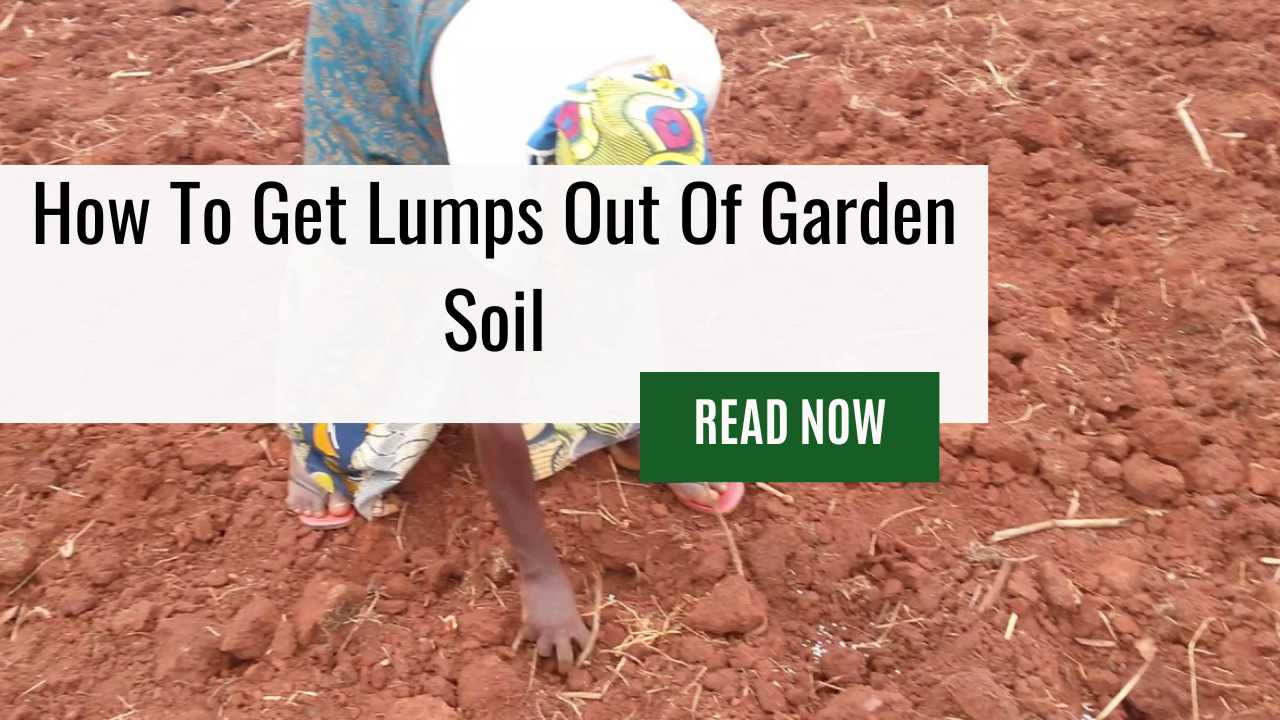 How To Get Lumps Out Of Garden Soil