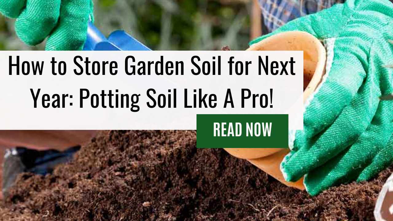 How To Store Garden Soil For Next Year: Revitalize Your Garden by Storing Potting Soil Over the Winter