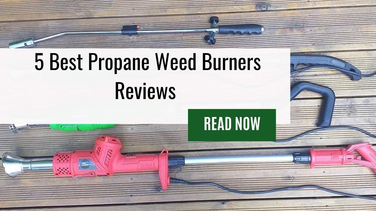 5 Best Propane Weed Burners Reviews