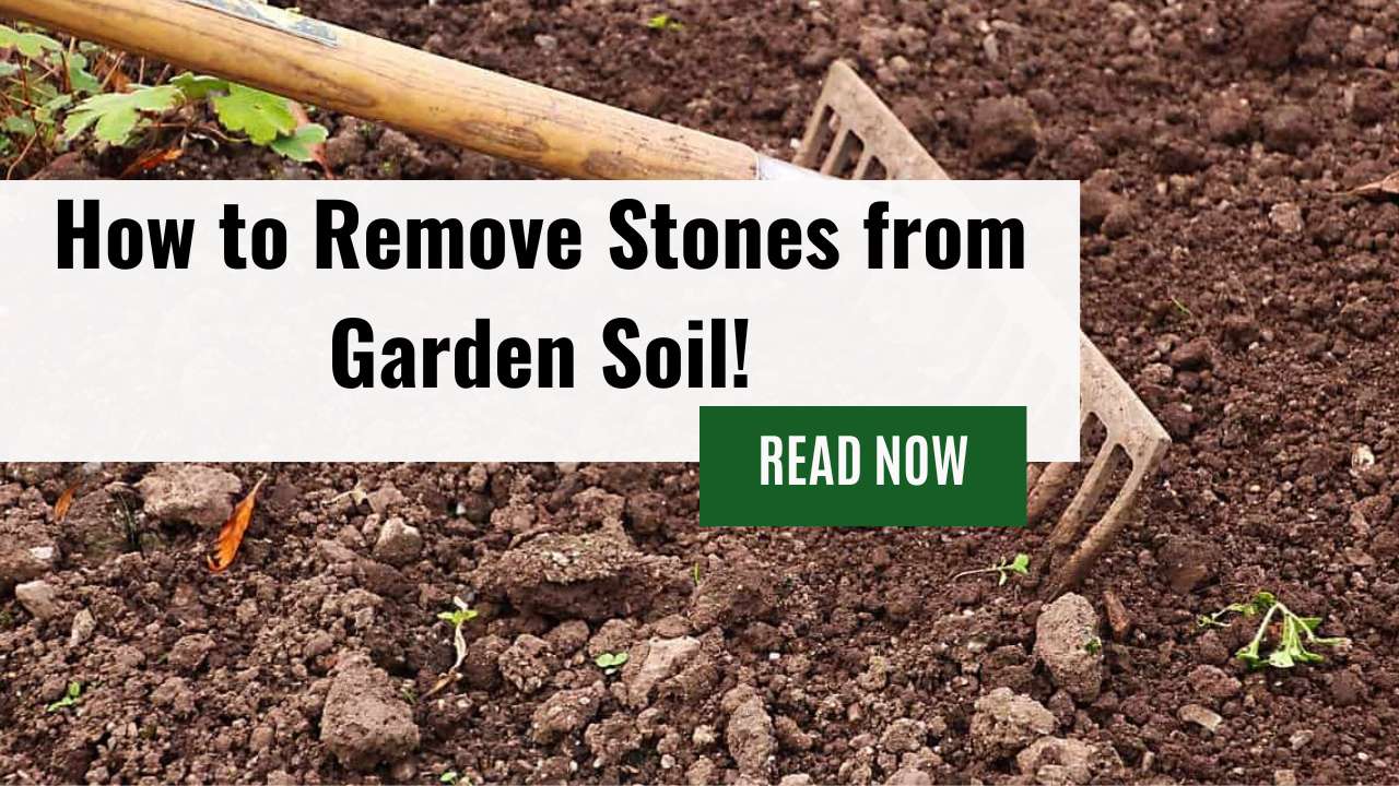 How to Remove Stones from Garden Soil
