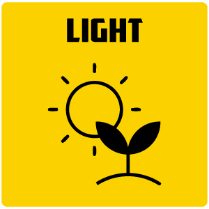 Light for plant in garden