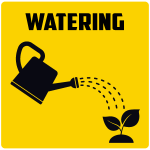watering for garden