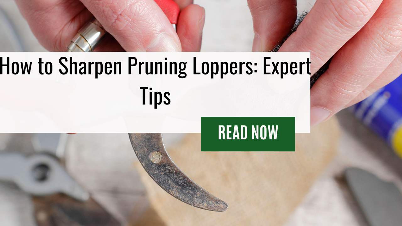How to Sharpen Pruning Loppers: Expert Tips