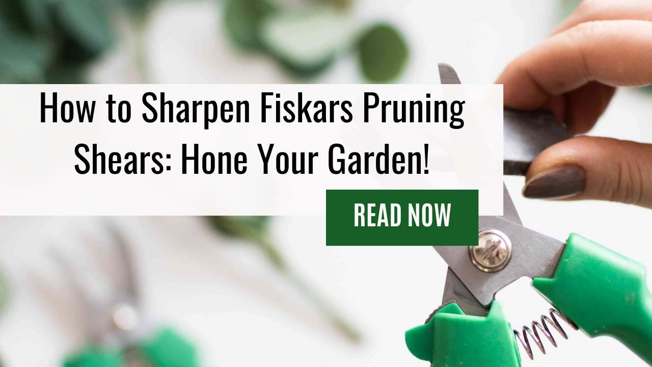 Sharpening Pruning Shears is Easier Than You Think! Learn to Sharpen Garden Pruners with Our Guide on How To Sharpen Fiskars Pruning Shears